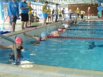 aquathlon-rillieux-2016-s-780.jpg