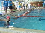 aquathlon-rillieux-2016-s-781.jpg